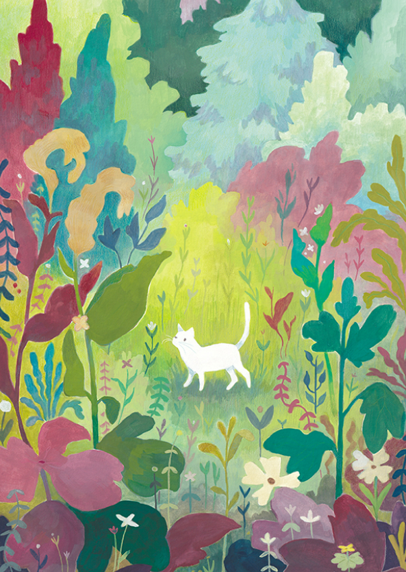 illustration le chat blanc par Meg Brunelliere